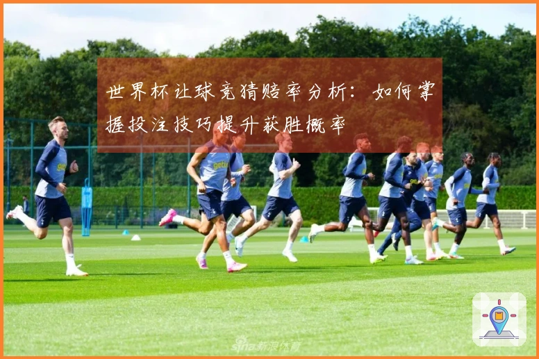 世界杯让球竞猜赔率分析:如何掌握投注技巧提升获胜概率