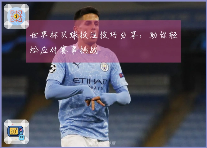 世界杯买球投注技巧分享，助你轻松应对赛事挑战