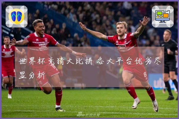 世界杯竞猜大比拼 各大平台优劣尽显分析