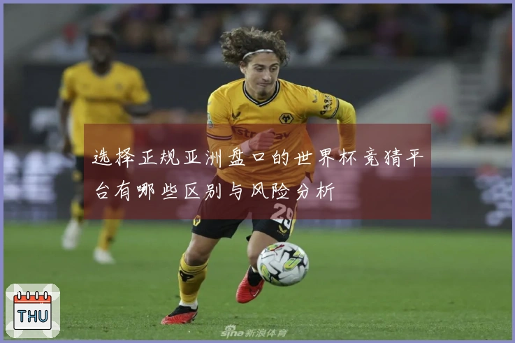 选择正规亚洲盘口的世界杯竞猜平台有哪些区别与风险分析