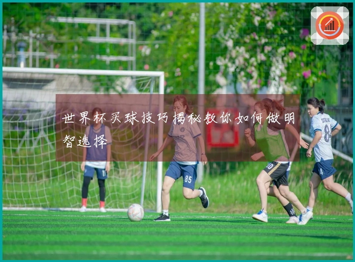 世界杯买球技巧揭秘教你如何做明智选择