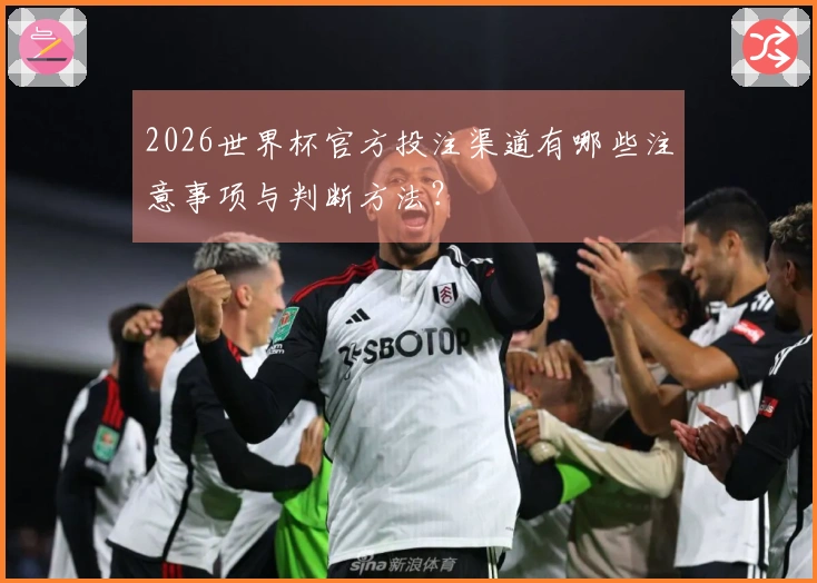2026世界杯官方投注渠道有哪些注意事项与判断方法？