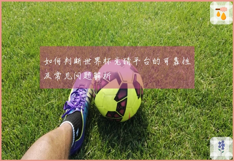 如何判断世界杯竞猜平台的可靠性及常见问题解析