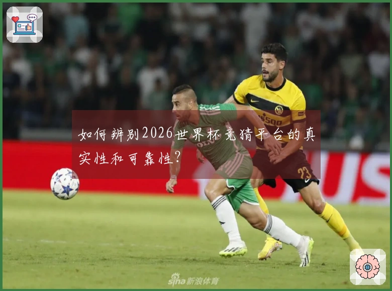 如何辨别2026世界杯竞猜平台的真实性和可靠性？