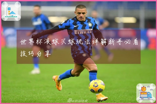 世界杯滚球买球玩法详解新手必看技巧分享