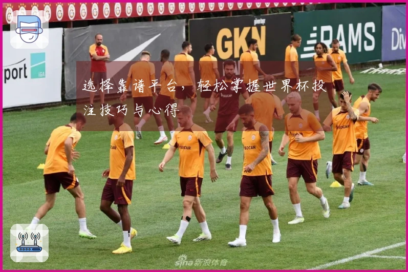 选择靠谱平台，轻松掌握世界杯投注技巧与心得