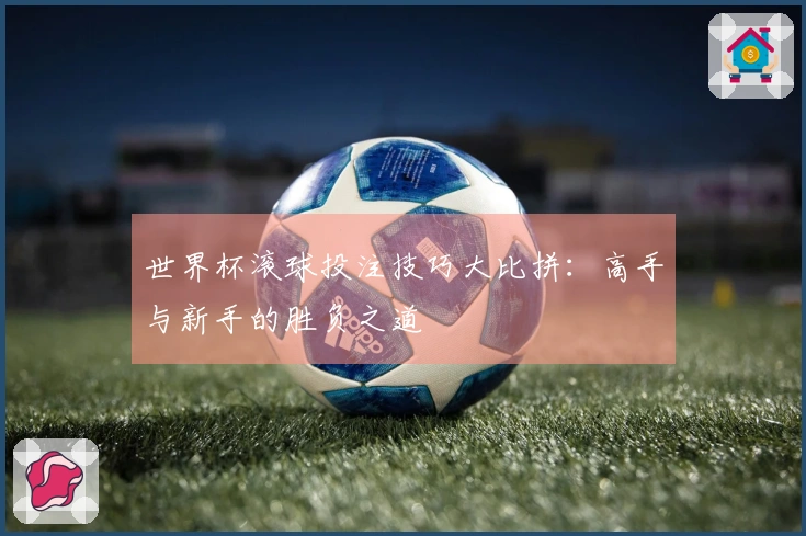 世界杯滚球投注技巧大比拼：高手与新手的胜负之道