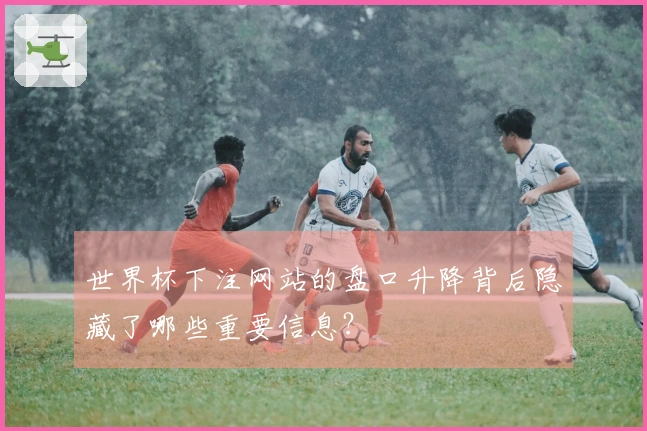 世界杯下注网站的盘口升降背后隐藏了哪些重要信息？