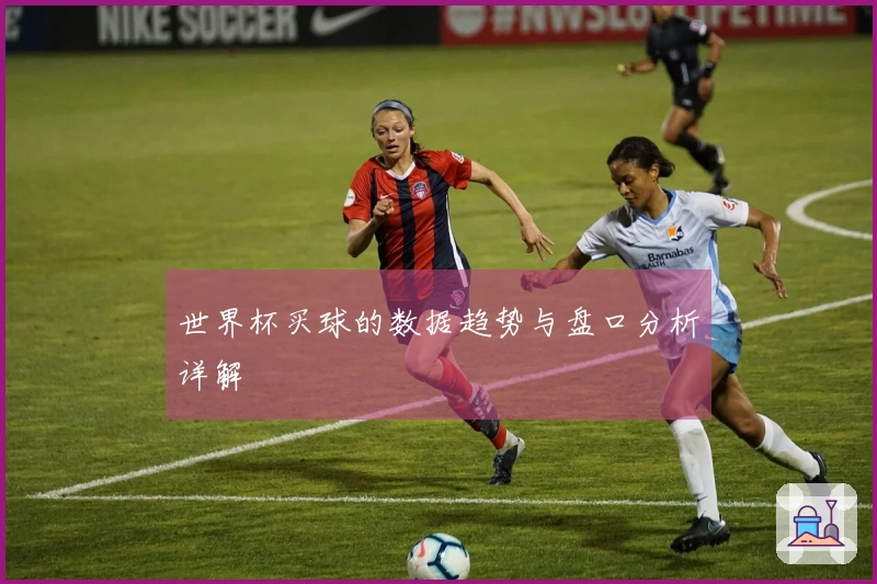 世界杯买球的数据趋势与盘口分析详解