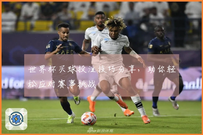 世界杯买球投注技巧分享，助你轻松应对赛事挑战