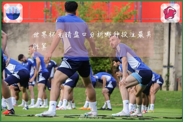 世界杯竞猜盘口分析哪种投注最具胜算