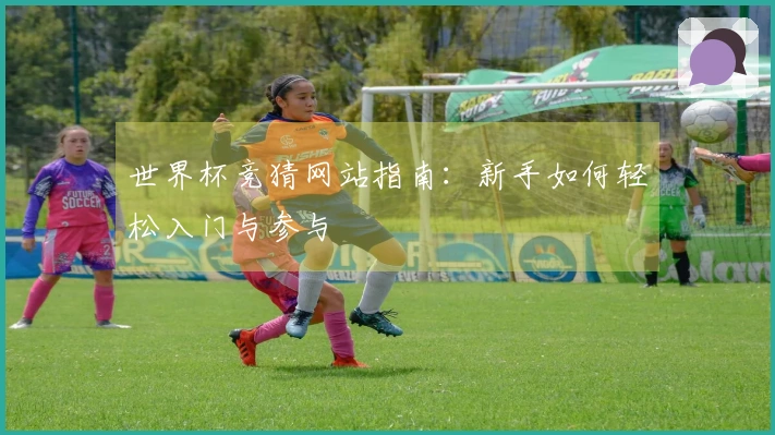 世界杯竞猜网站指南：新手如何轻松入门与参与
