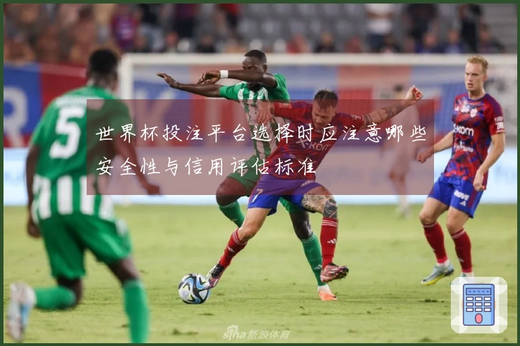 世界杯投注平台选择时应注意哪些安全性与信用评估标准