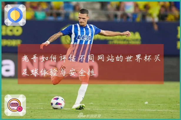 老手如何评估不同网站的世界杯买足球体验与安全性