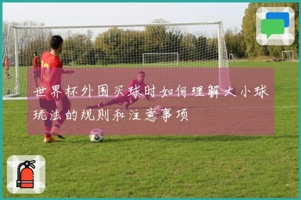 世界杯外围买球时如何理解大小球玩法的规则和注意事项