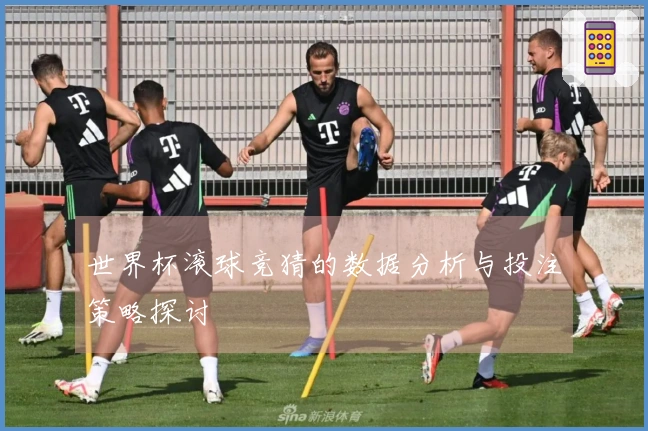 世界杯滚球竞猜的数据分析与投注策略探讨