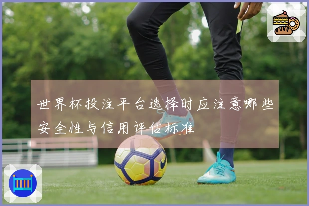 世界杯投注平台选择时应注意哪些安全性与信用评估标准