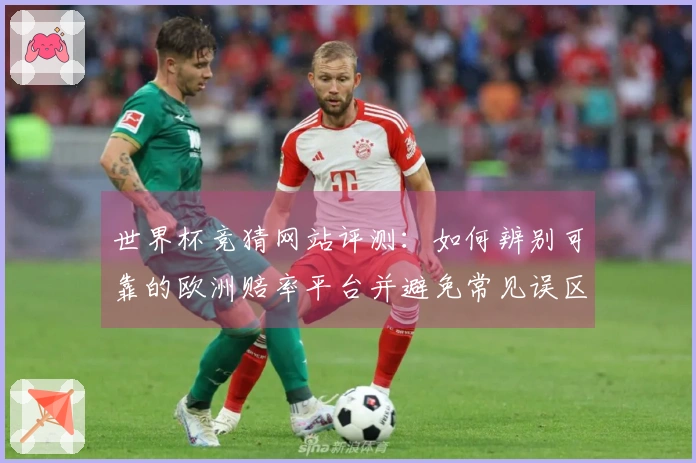 世界杯竞猜网站评测：如何辨别可靠的欧洲赔率平台并避免常见误区