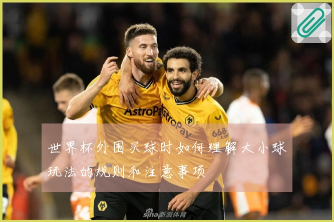 世界杯外围买球时如何理解大小球玩法的规则和注意事项