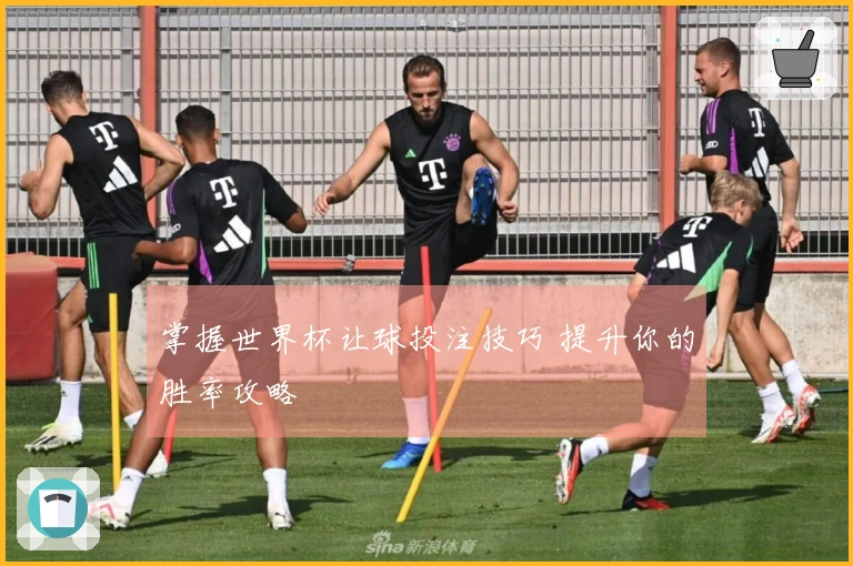 掌握世界杯让球投注技巧 提升你的胜率攻略