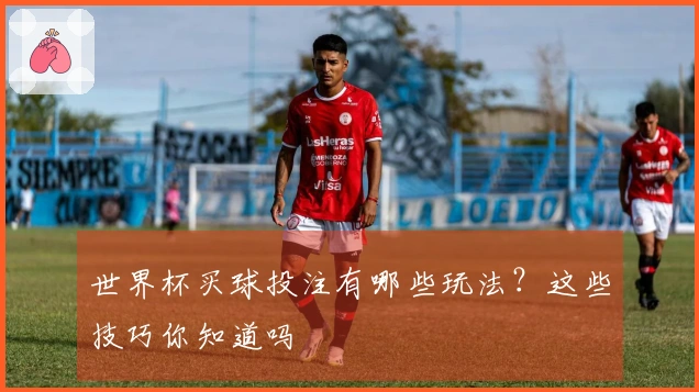 世界杯买球投注有哪些玩法？这些技巧你知道吗