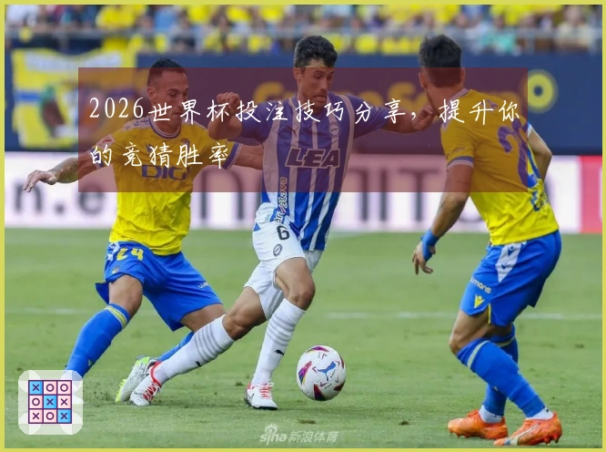 2026世界杯投注技巧分享，提升你的竞猜胜率