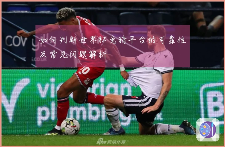 如何判断世界杯竞猜平台的可靠性及常见问题解析